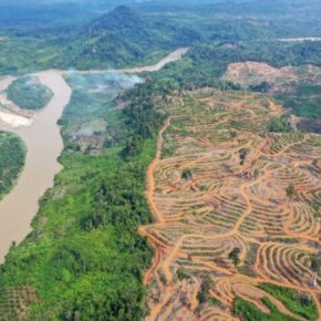 Libre-échange avec l'Indonésie?